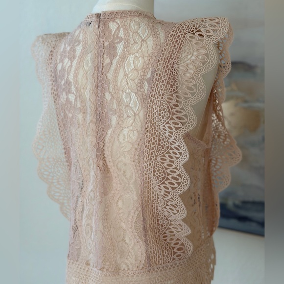 NWT Zara Lace Ruffle Blouse - Blush Pink - Picture 8 of 16